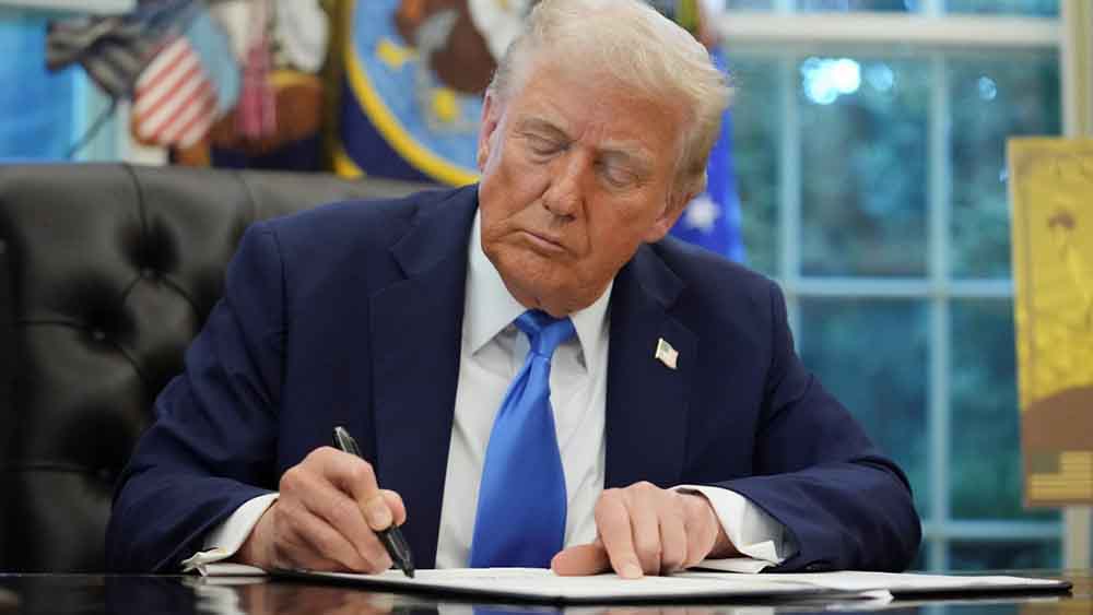 red latina stl, red latina periodico, trump, tecnologia, eleva